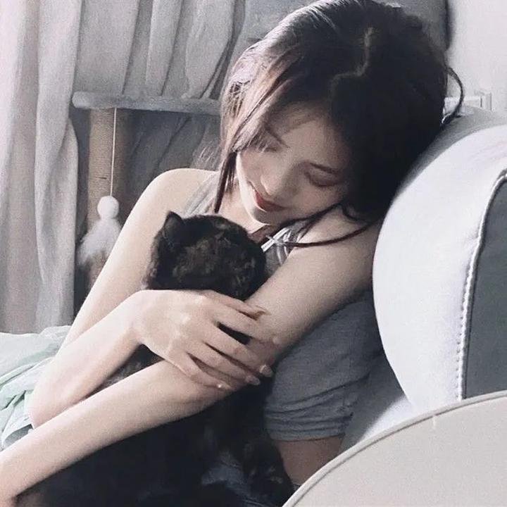 巨浪白鲨鱼